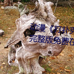 动(動)漫《打扑克牌的(的)剧烈运(運)动视频(頻)》完整(整)版免费在线(線)观看