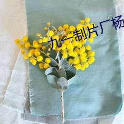 九一制片厂杨柳视频 （程序控制）