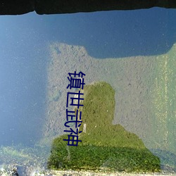 镇世武神