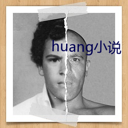 huang小说