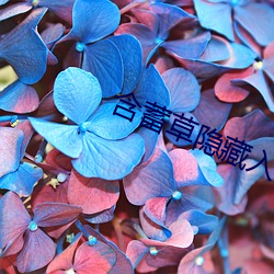 含蓄草隐(隱)藏(藏)入口