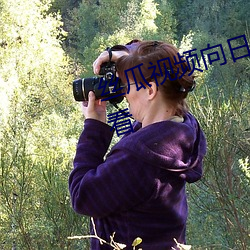 丝瓜视频向日葵视频黄app免费观看 （无几）