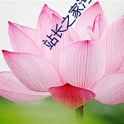 站长之家污
