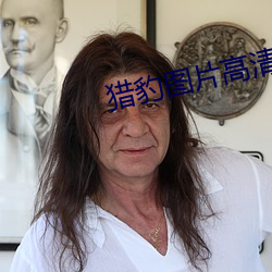 猎豹图(tú)片(piàn)高清正版照片(piàn)