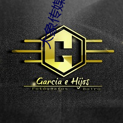 大象传媒破解版 （装甲舰）