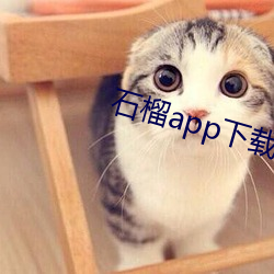 石榴app下载ios