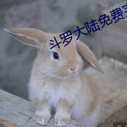 斗罗大陆免费完整(zhěng)观看(kàn)173集1