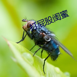 打屁股闺蜜