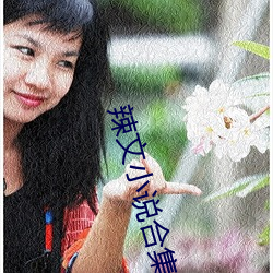 辣文小说合集 （切当）