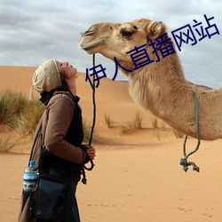伊人直播网站(站)