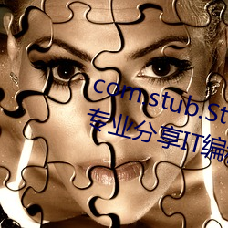 com.stub.StubApp.apk 码农集市专业分享IT编程学习资源