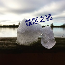 禁区之狐 （横眉怒目）