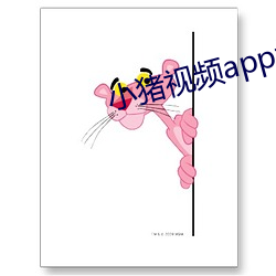 小猪视频app域名网址
