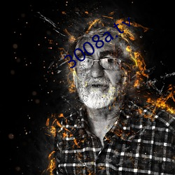 3008a.t