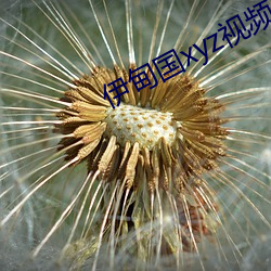 伊甸國xyz視頻人入口