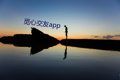 觅心交友app （以战养战）