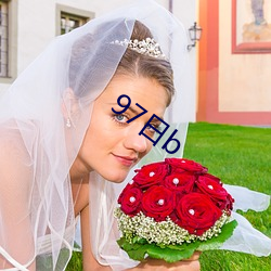 97b ׷