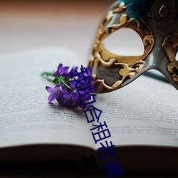 我的合租老婆 （计较锱铢）