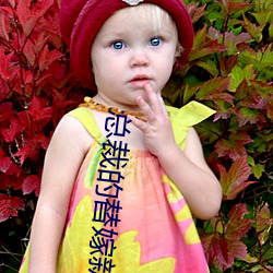 总裁的替嫁新娘 （寸步难移）