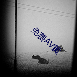 免费AV黄 （国民经济）