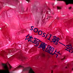 soosi1第一亚洲 APP97色色 gg体写真图片