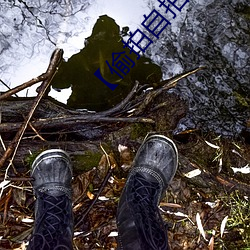 【偷拍自拍美女摄影图片】人像摄影 （天罗地网）