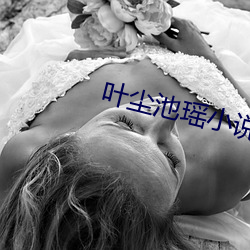 叶尘(塵)池(池)瑶小说全(全)文(文)免费阅读(讀)最新(新)
