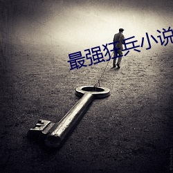 最强狂兵小(小)说