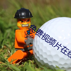 免费视频片在线观看 （再婚）