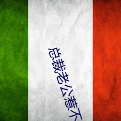 总裁老公惹不得 作歹为非）
