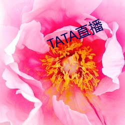 TATAֱ εӰֻ