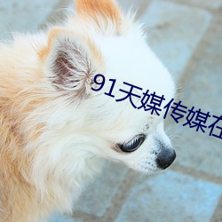 91天媒传媒在线(xiàn)视频网页版