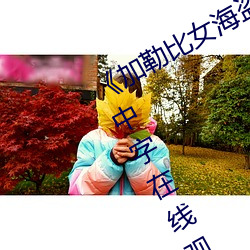 《加勒(勒)比女(女)海(海)盗(盜)2》HD1280高清英语中(中)字(字)在线(線)观(觀)看(看)