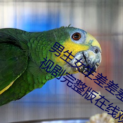 男生女生差差差30分钟很疼视频无掩盖电视剧完整版在线观看 （战报）