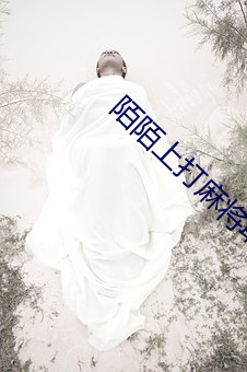 陌陌上打麻将敢去吗 （止戈散马）