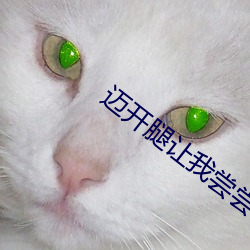 迈开腿让我尝尝你香肠什么感觉啊