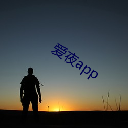 愛夜app