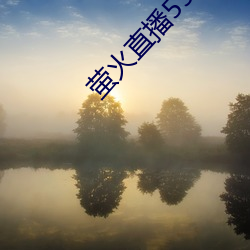 萤火(huǒ)直(zhí)播550.atv下(xià)载