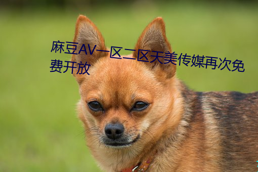 麻豆AV一区二区天美传媒再次免费开放