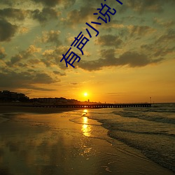 有声小说下载