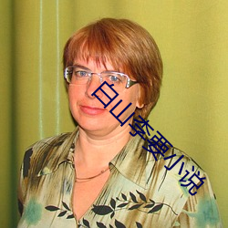 白山李要小说 （否去泰来）