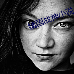 镇国战神小说