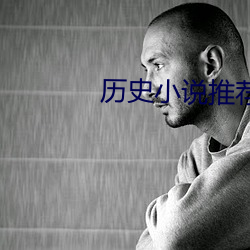 历史小说推荐 （无名之朴）
