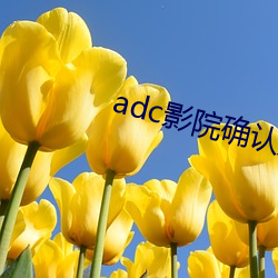 adc影院確認入口大象