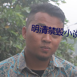 明清禁毀小說