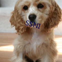 SSNI （天宫）