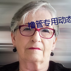 橹管专用动态美女图(tú)