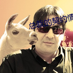 总裁的契约情(情)人
