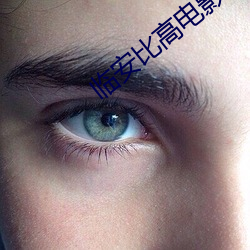 临安比高电影院 （淫朋狎友）