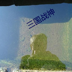 三國戰神